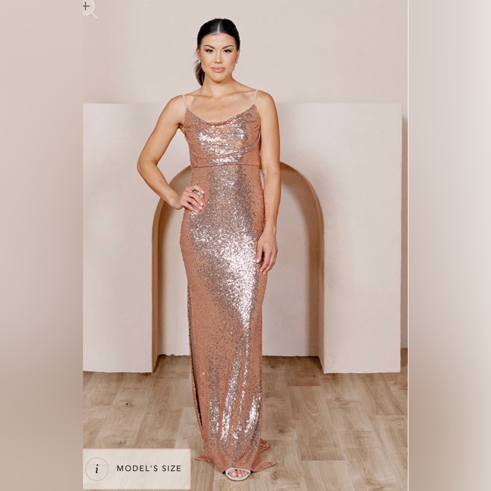 Revelry Skye in Matte Rose Gold Sequin - Size 4 in Petite Maxi